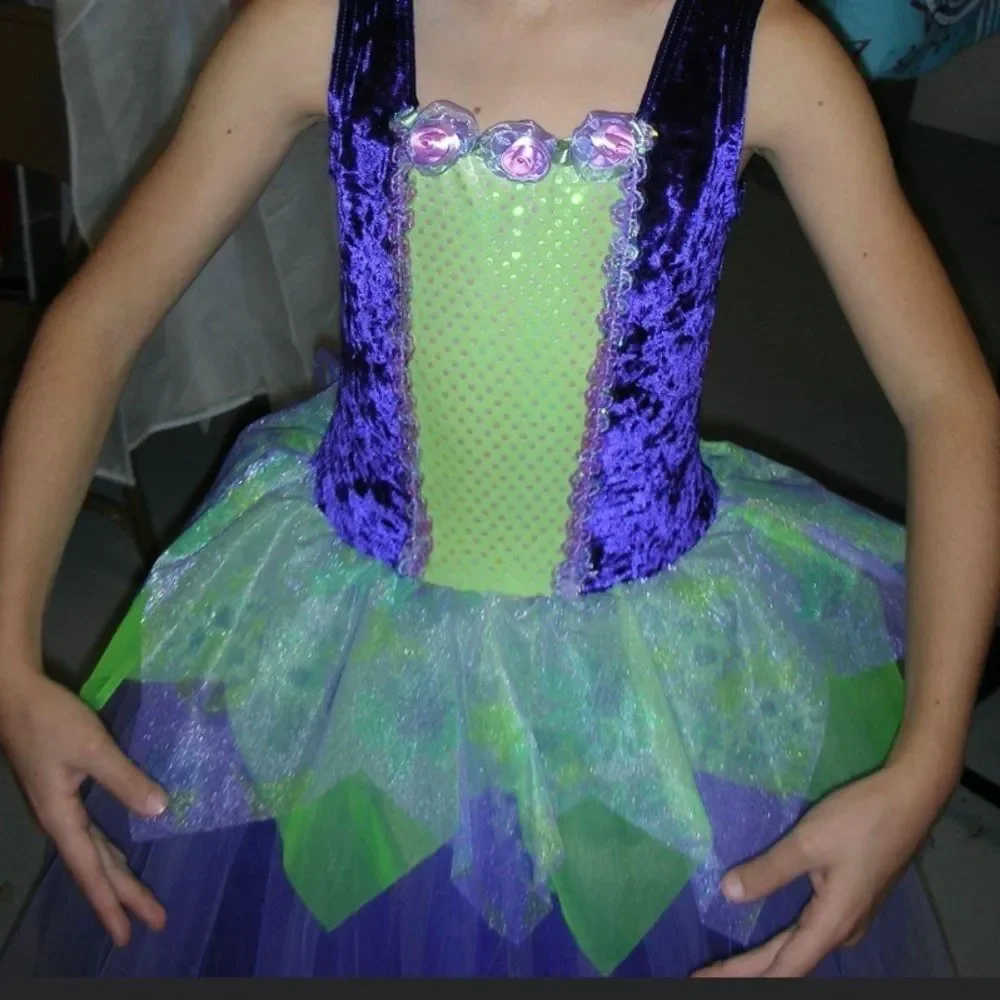 Gorgeous fairy princess ballet dress / costume Purple & Green. matching barrette